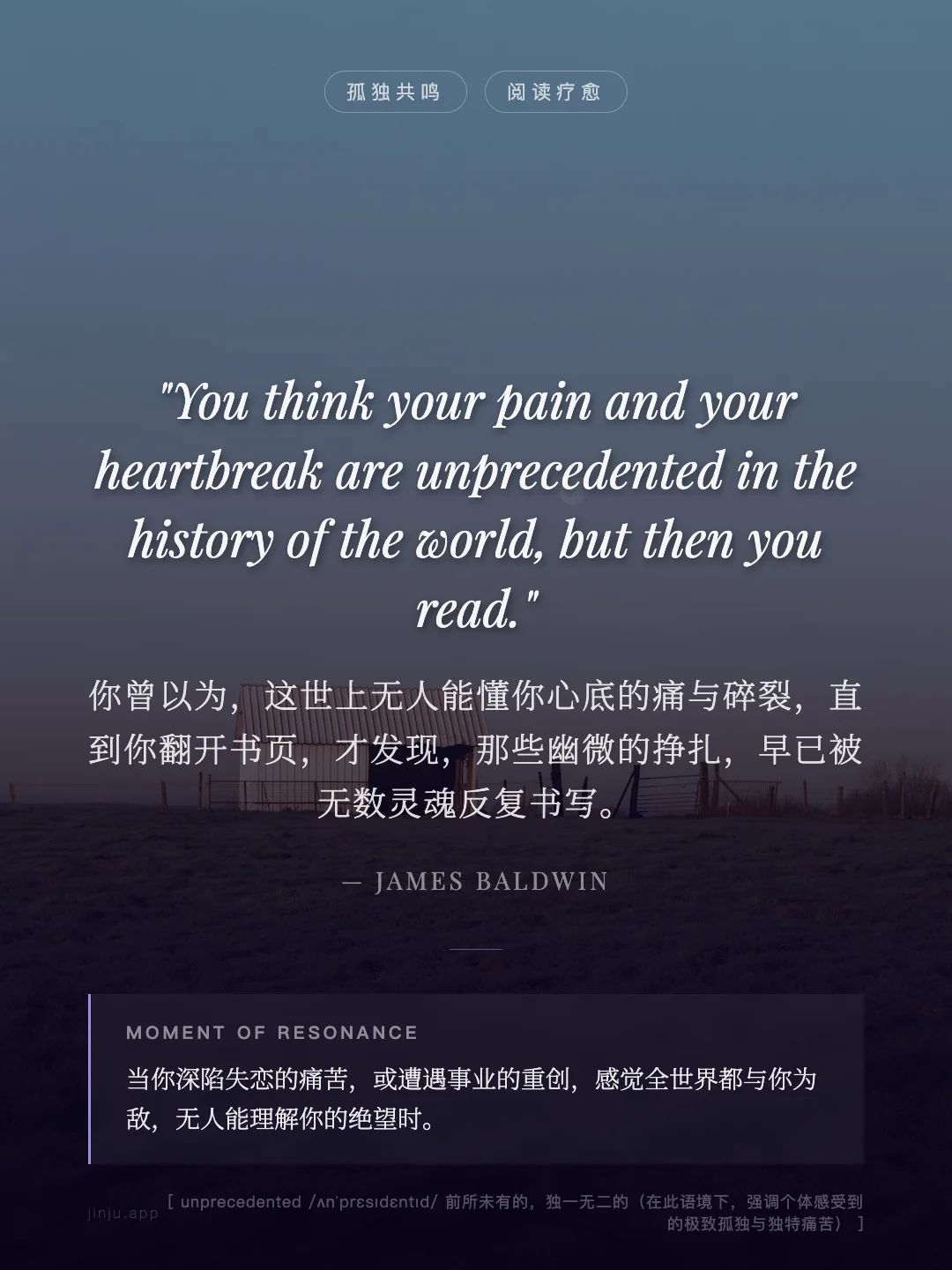 你曾以为，这世上无人能懂你心底的痛与碎裂，直到你翻开书页，才发现，那些幽微的挣扎，早已被无数灵魂反复书写。