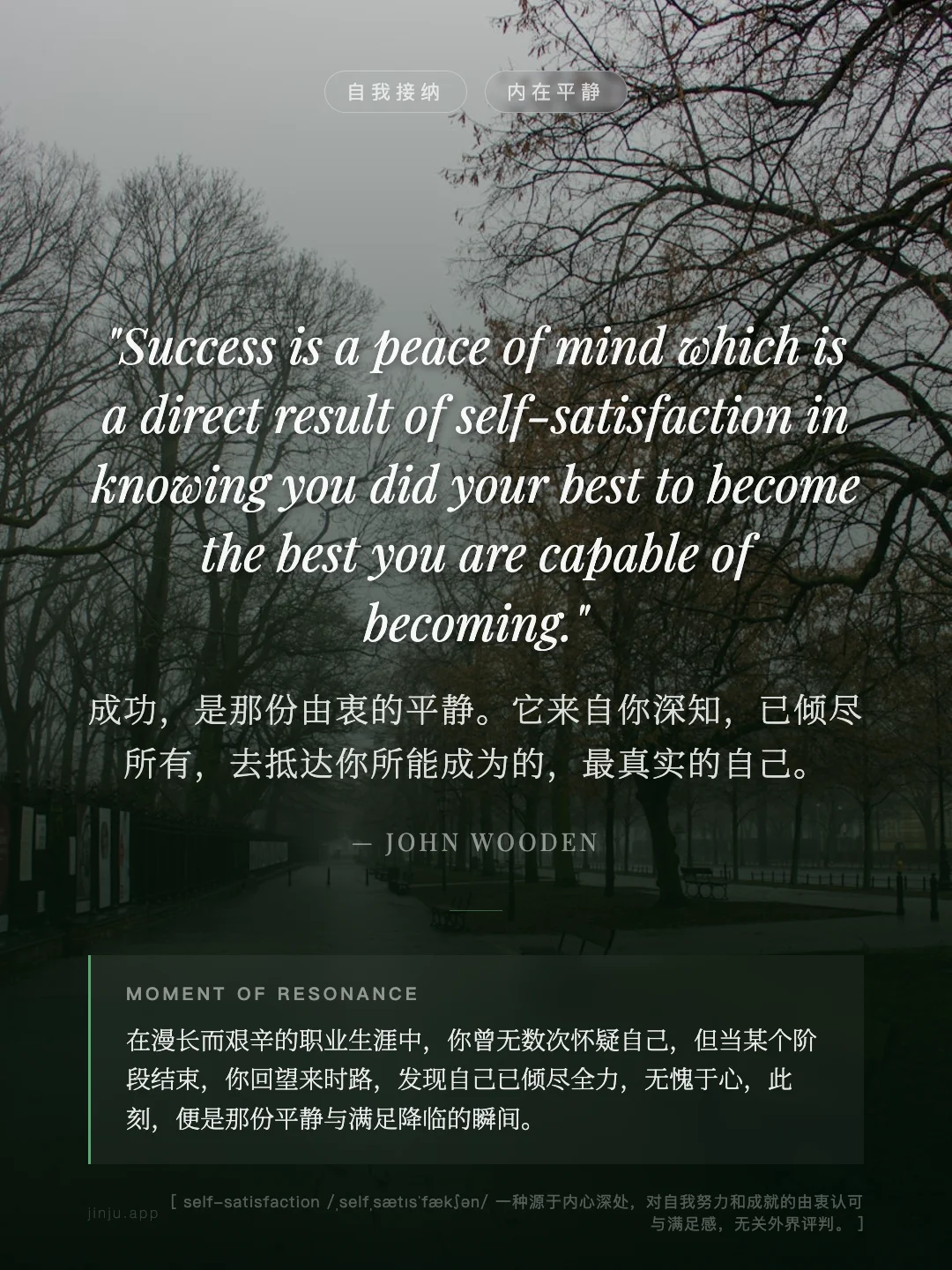 成功，是那份由衷的平静。它来自你深知，已倾尽所有，去抵达你所能成为的，最真实的自己。