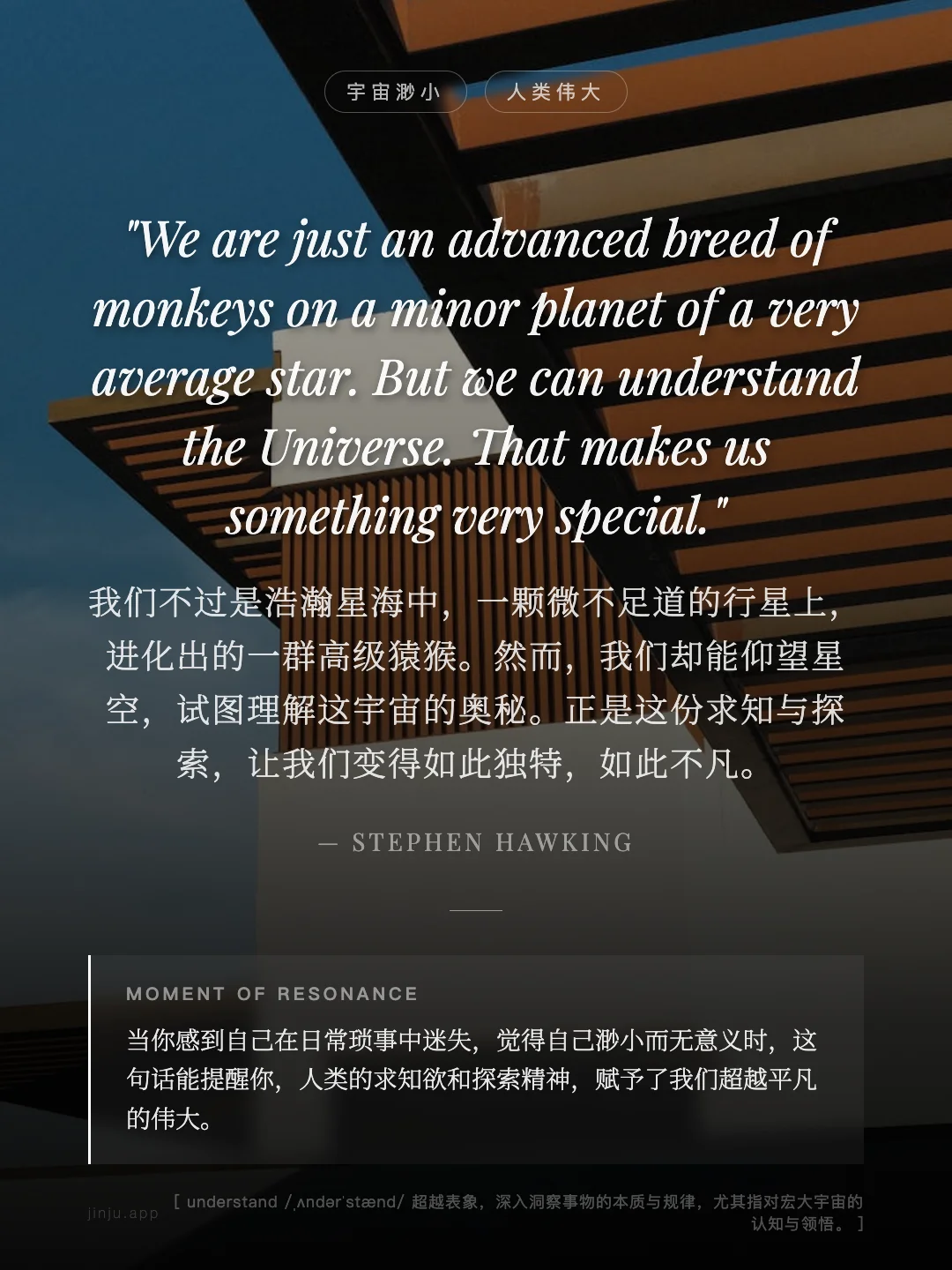 我们不过是浩瀚星海中，一颗微不足道的行星上，进化出的一群高级猿猴。然而，我们却能仰望星空，试图理解这宇宙的奥秘。正是这份求知与探索，让我们变得如此独特，如此不凡。