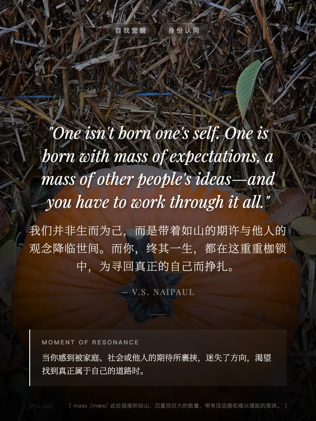 我们并非生而为己，而是带着如山的期许与他人的观念降临世间。而你，终其一生，都在这重重枷锁中，为寻回真正的自己而挣扎。